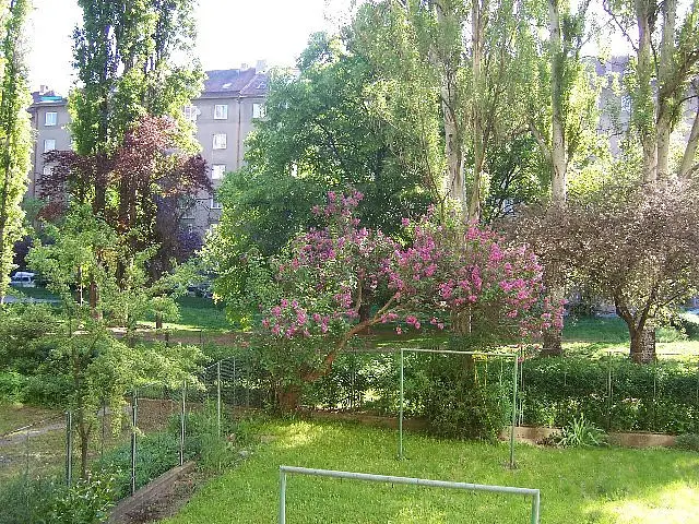 Botanická, Brno - Veveří