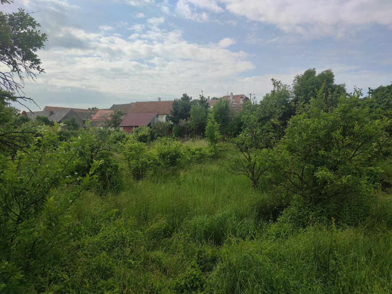 Běhařovice - Stupešice, okres Znojmo