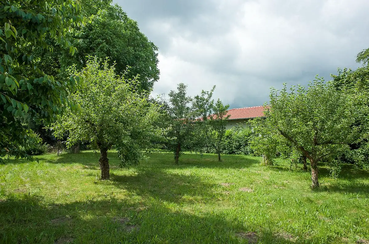 Na Návsi, Tehovec, okres Praha-východ