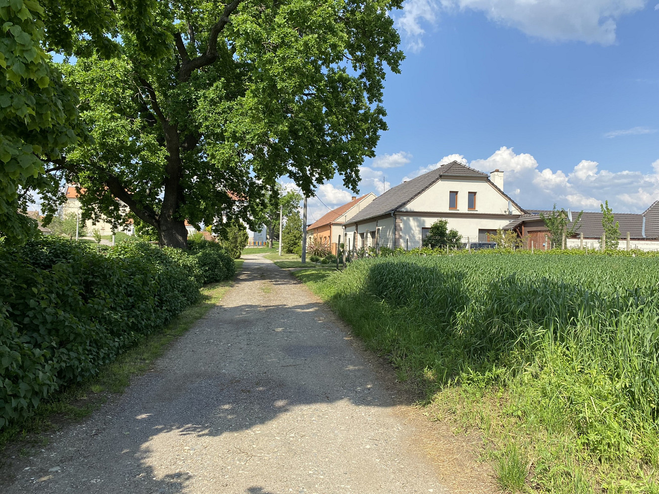 Brod nad Dyjí, okres Břeclav