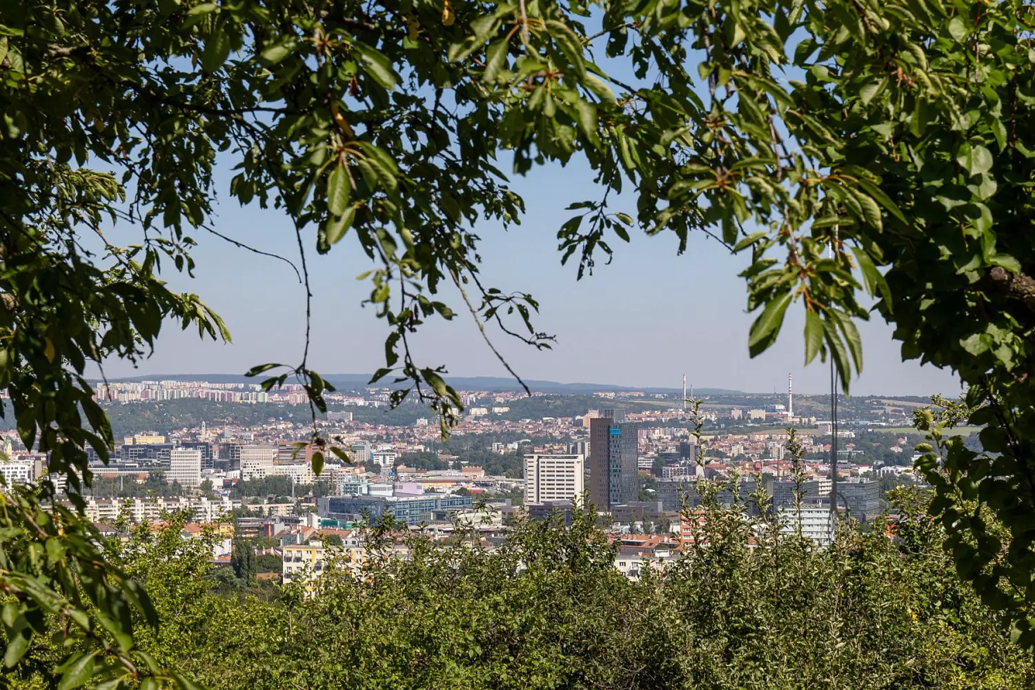 Červený kopec, Brno - Štýřice