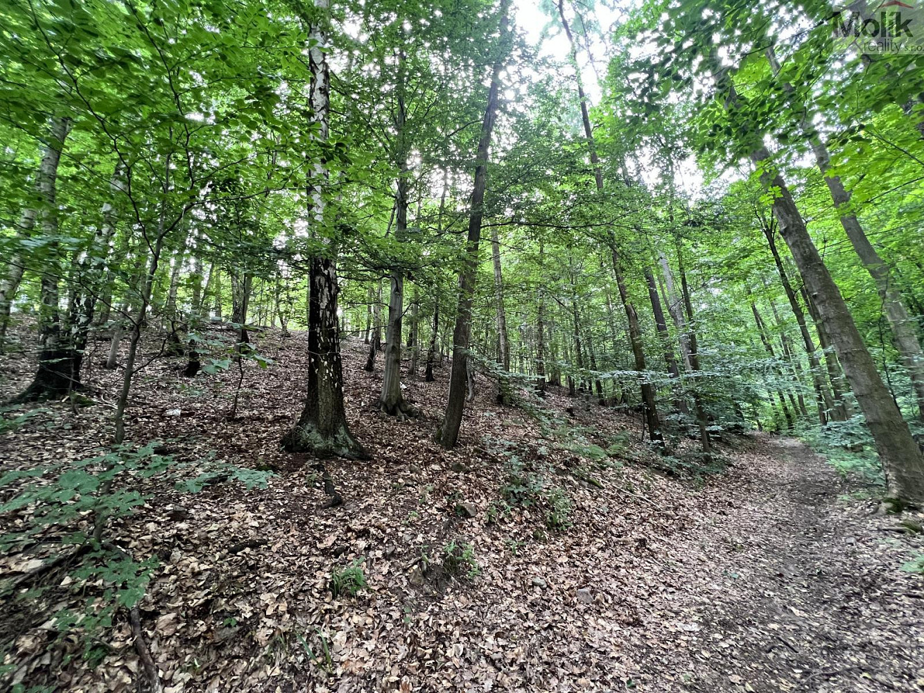 Telnice - Liboňov, okres Ústí nad Labem