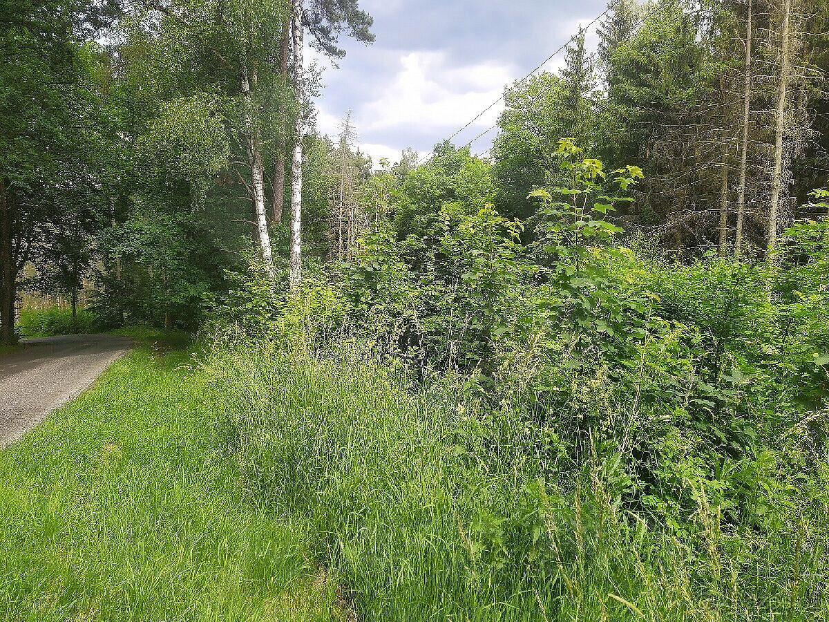 Česká Kamenice - Kamenická Nová Víska, okres Děčín