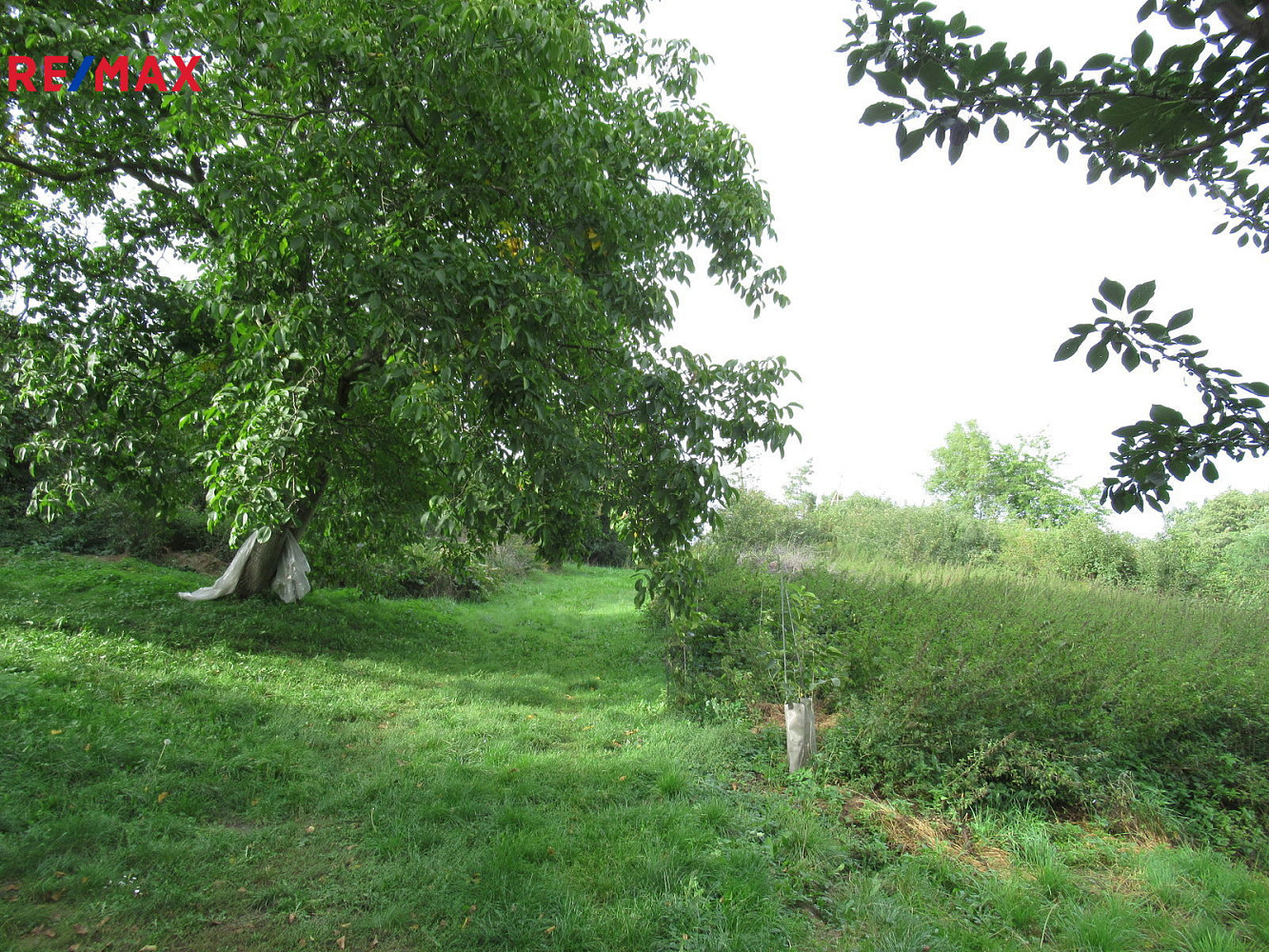 Libodřice, okres Kolín