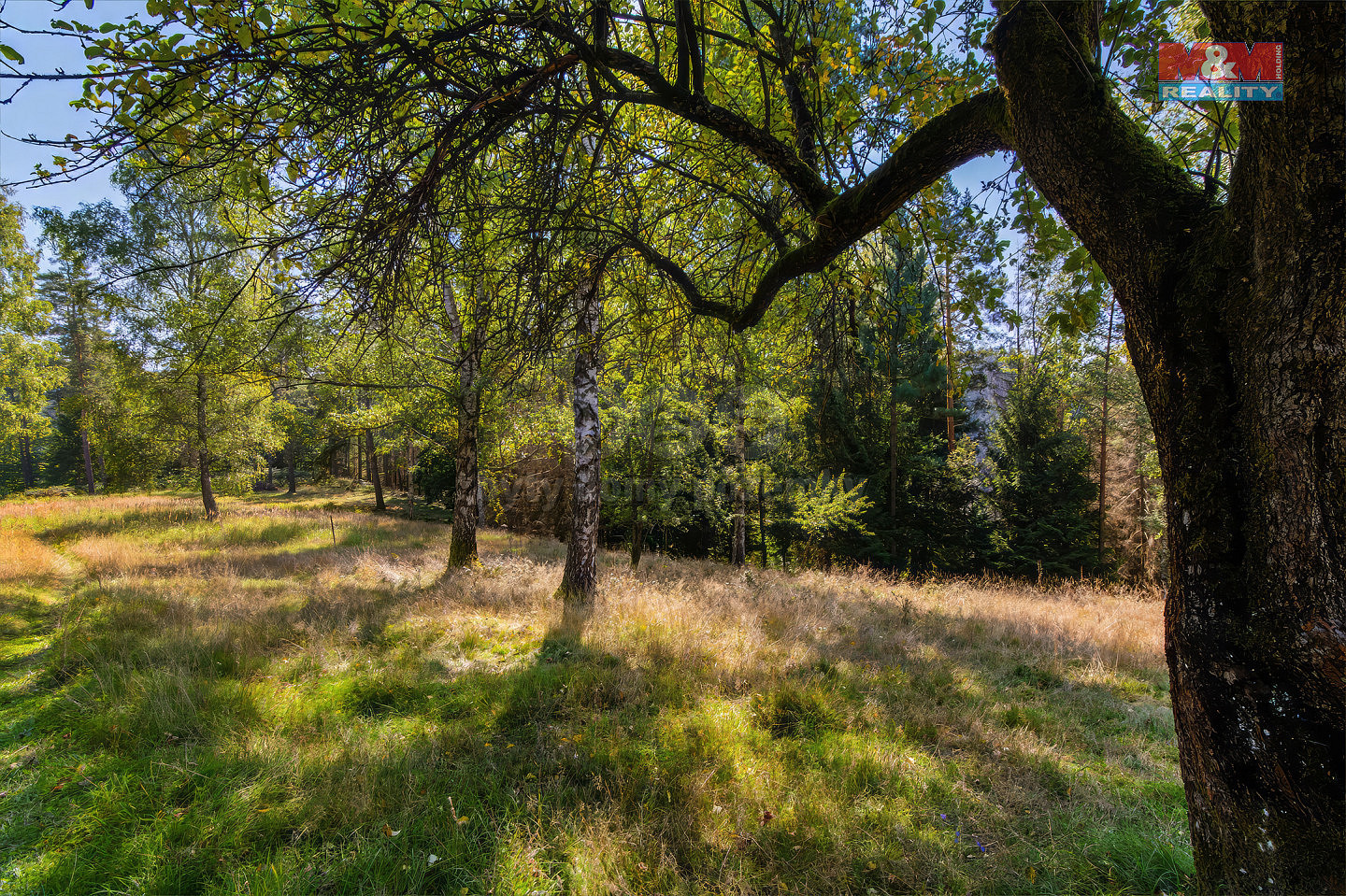 Jetřichovice - Rynartice, okres Děčín