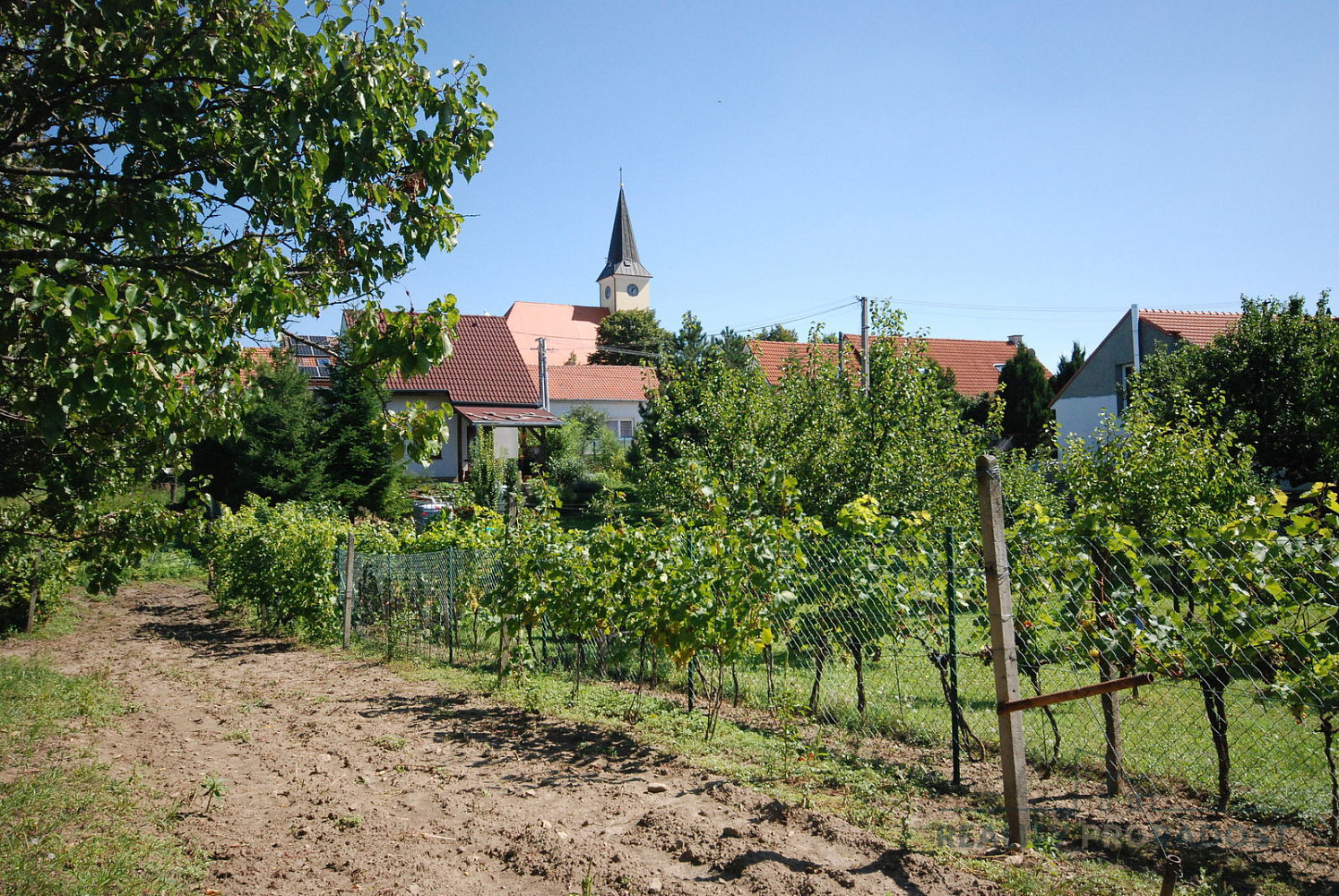 Vrbice, okres Břeclav