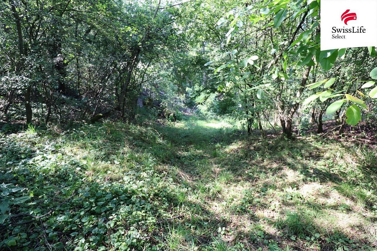 Luční, Vejprnice, okres Plzeň-sever