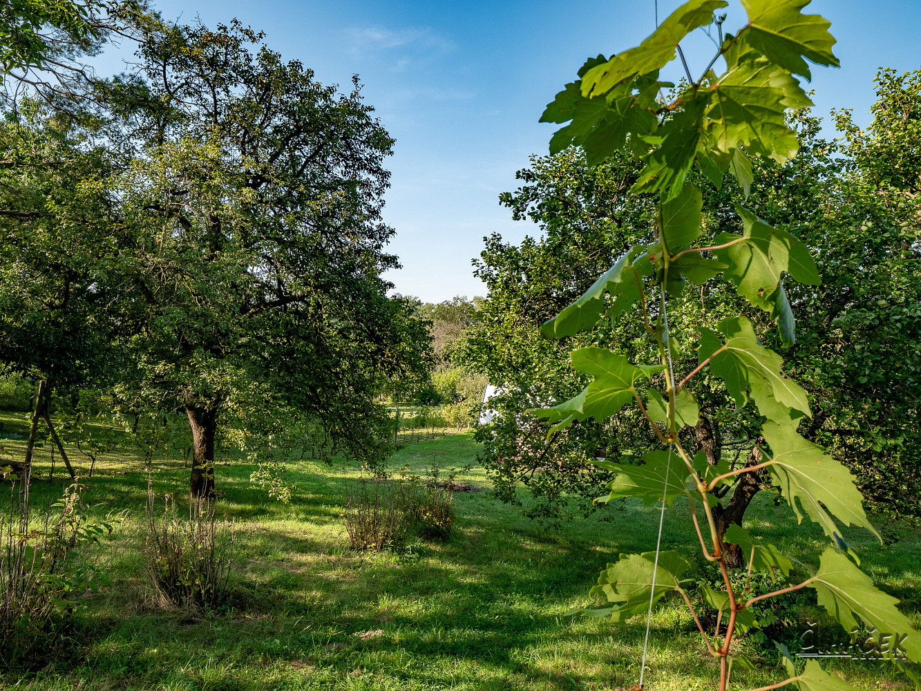 Bezručova, Mikulov, okres Břeclav