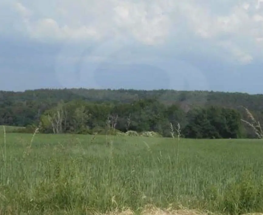 Štětí - Chcebuz, okres Litoměřice