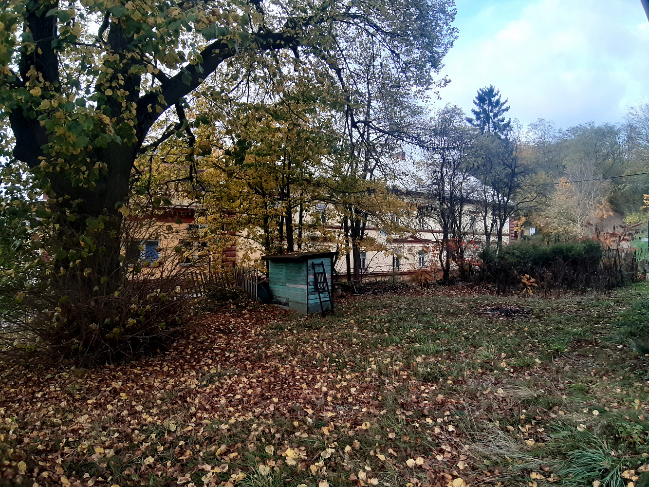 Brahmsova, Letovice, okres Blansko
