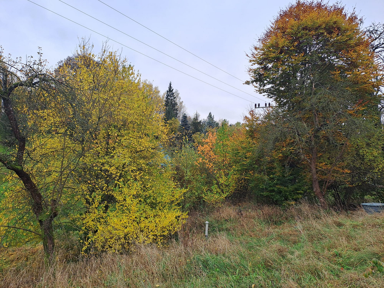 Velké Hamry - Bohdalovice, okres Jablonec nad Nisou