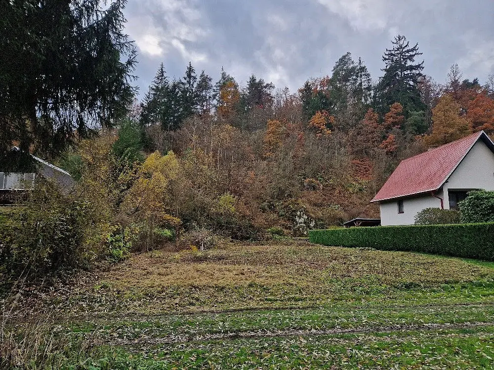 Svojšín - Holyně, okres Tachov