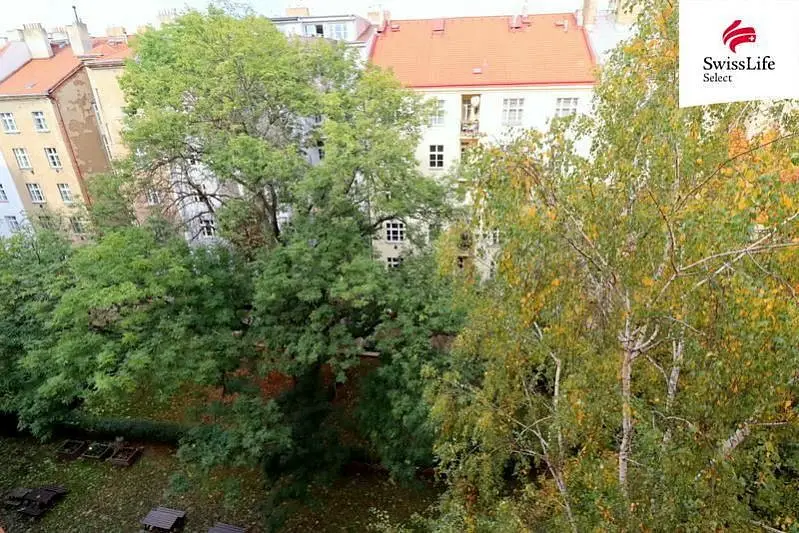 Křížkovského, Praha 3 - Žižkov