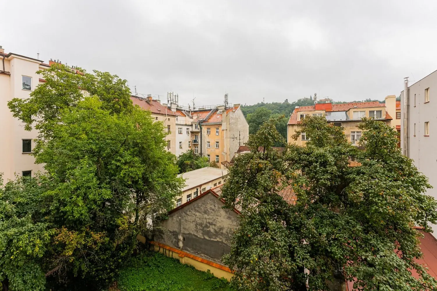 Holečkova, Praha 5 - Smíchov