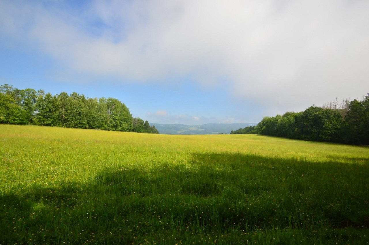 Heřmanov, okres Děčín