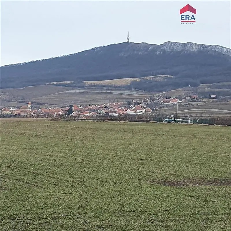 Horní Věstonice, okres Břeclav