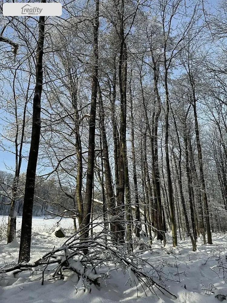 Skorošice, okres Jeseník