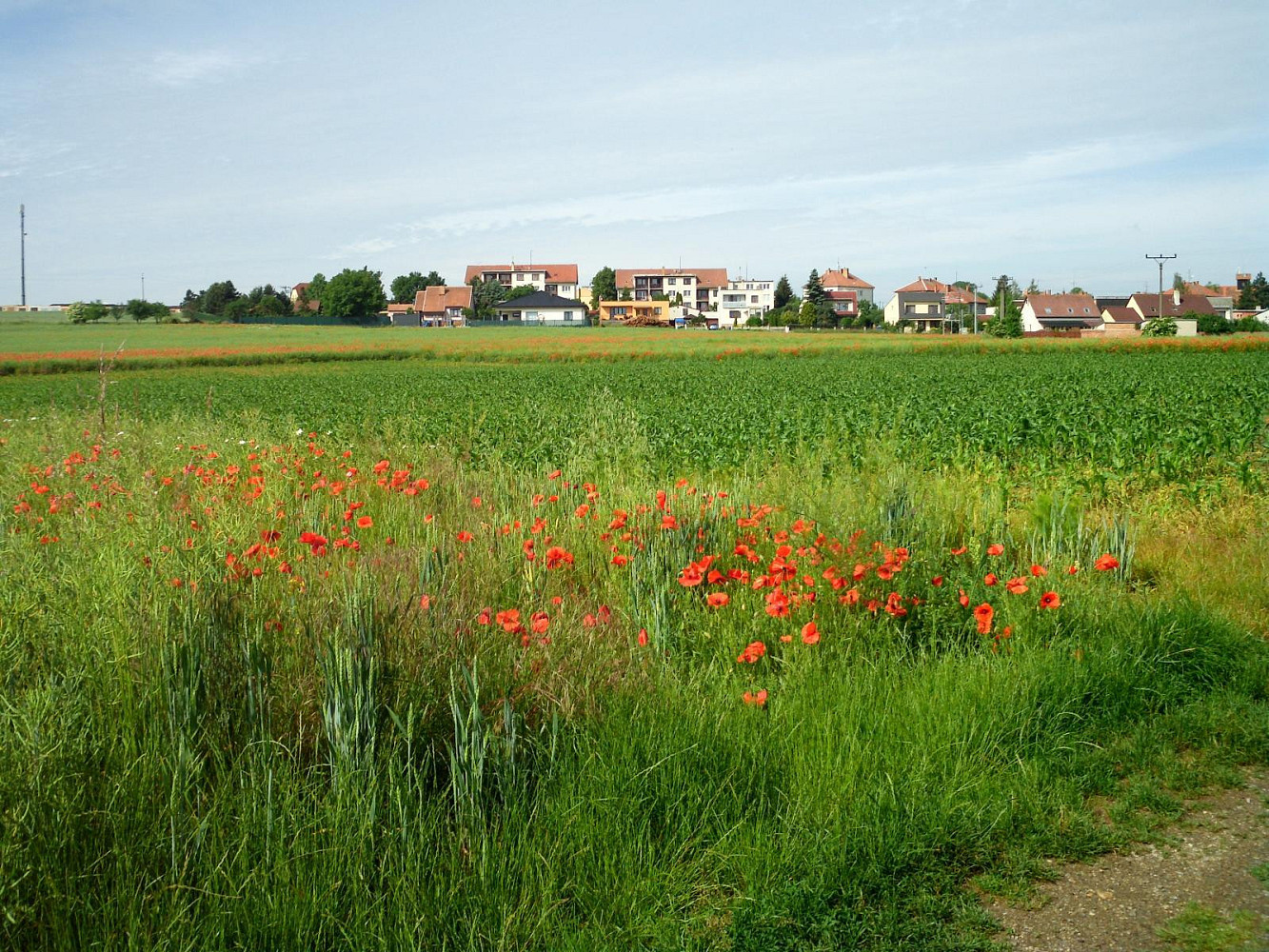 Čelakovského, Jaroměřice nad Rokytnou, okres Třebíč