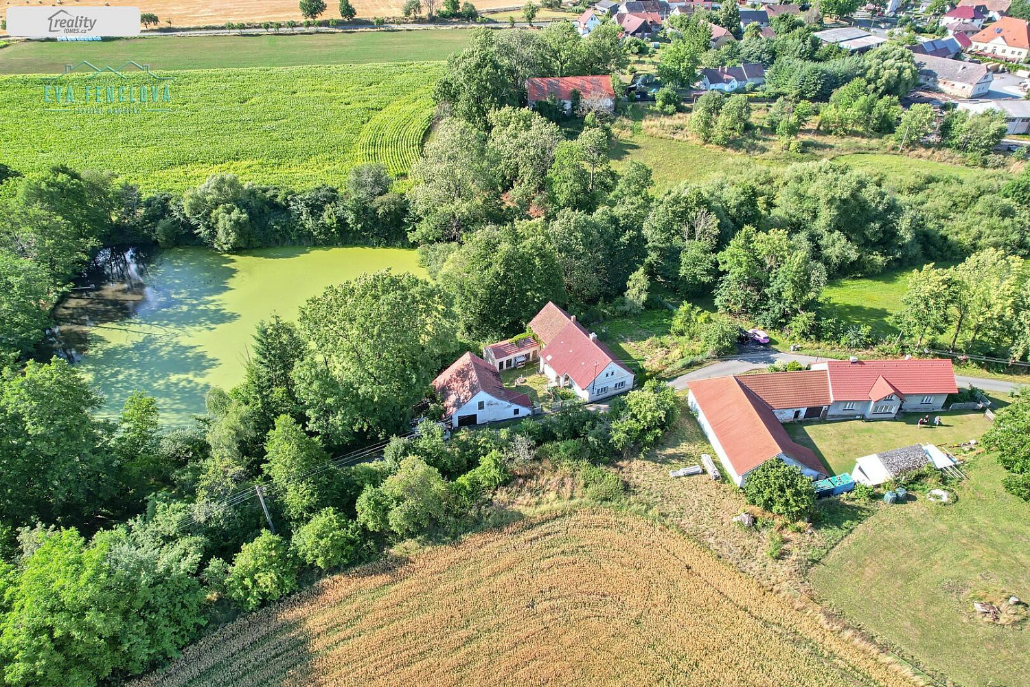 Mladý Smolivec - Dožice, okres Plzeň-Jih