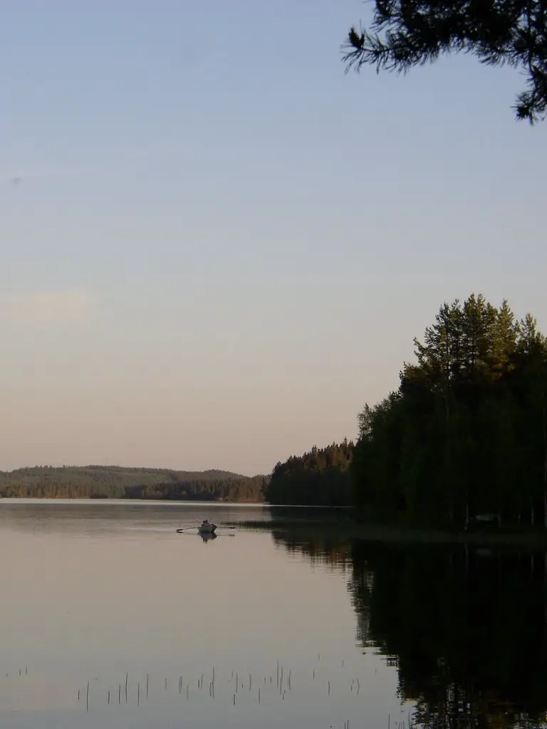 Lake Sinervä, Multia