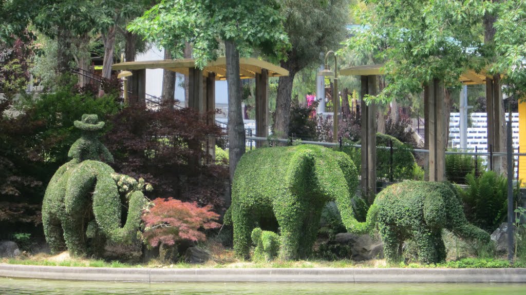 Elefantenfamilie In Gilroy Gardens Perfekt Geformt Mapio Net