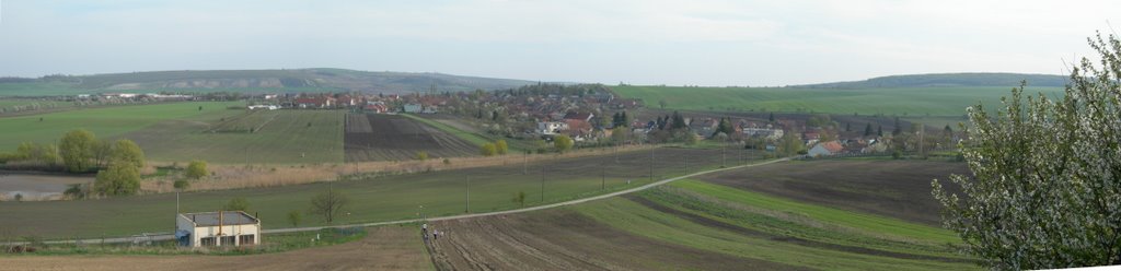 Brumovice (panorama)