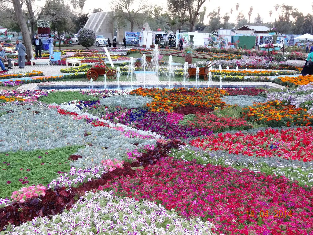 Baghdad Six International Vestival of Flowers