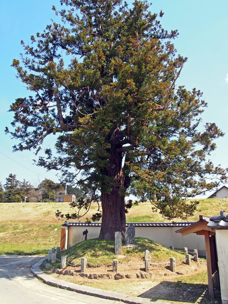 黒塚 Kurozuka Mound The Tomb Of Ogress Of Adachigahara Mapio Net