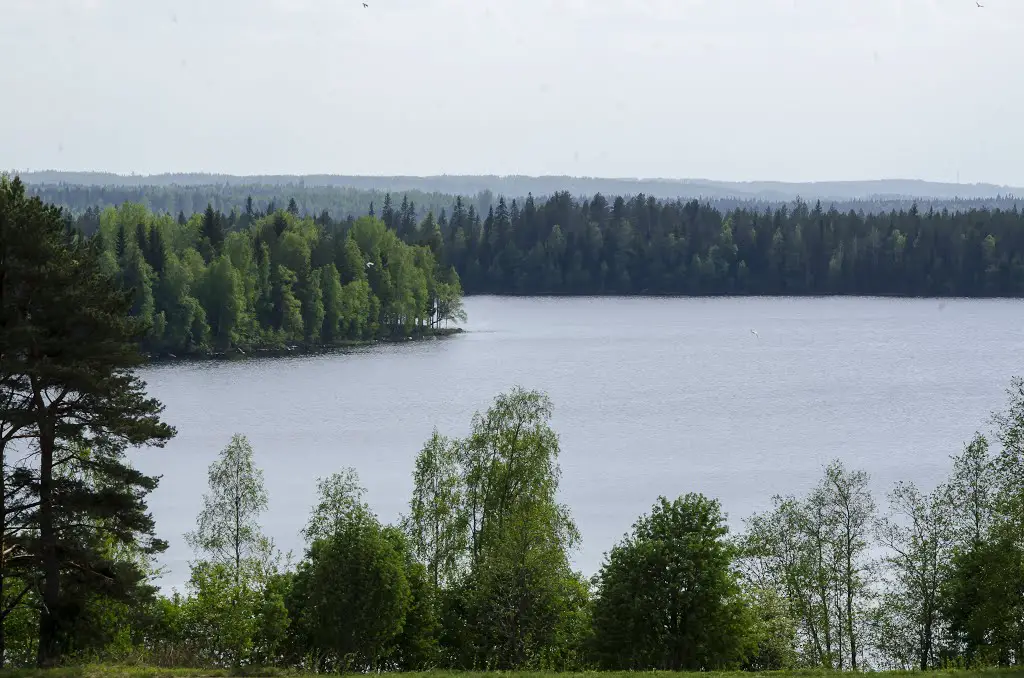 sonkajanjärvi