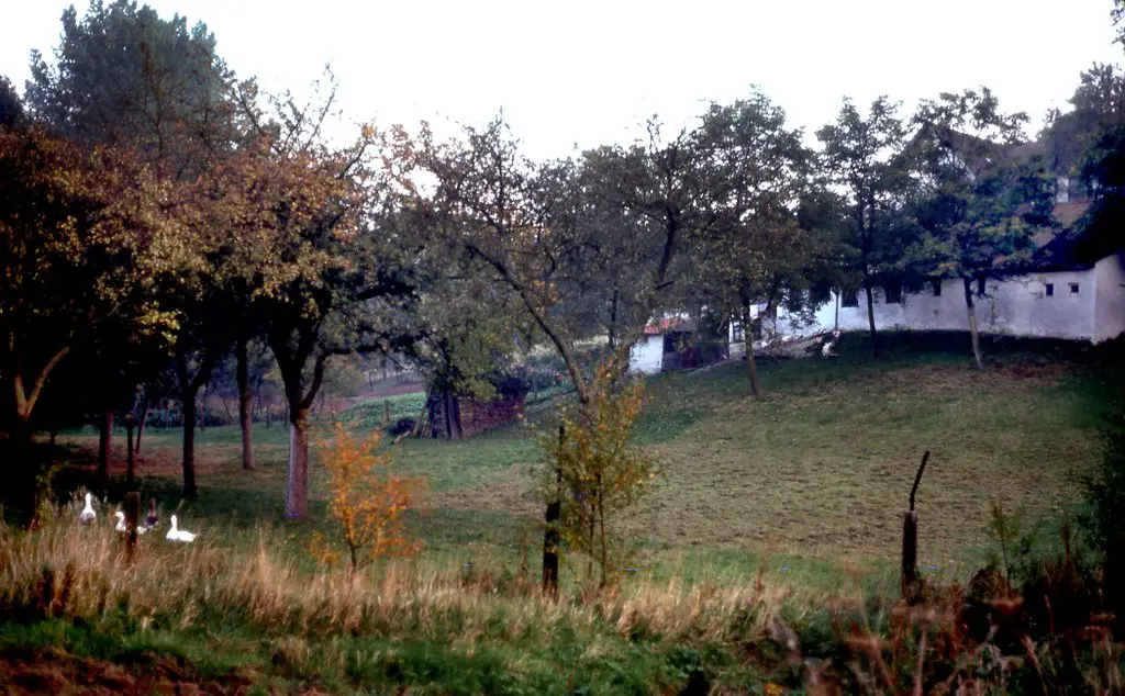 Belgium,Linkebeek 1976