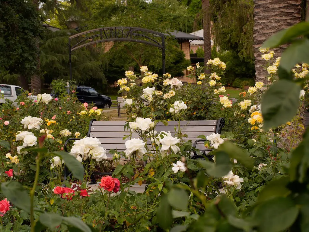 Rose Garden Mckinley Park Sacramento Ca Mapio Net