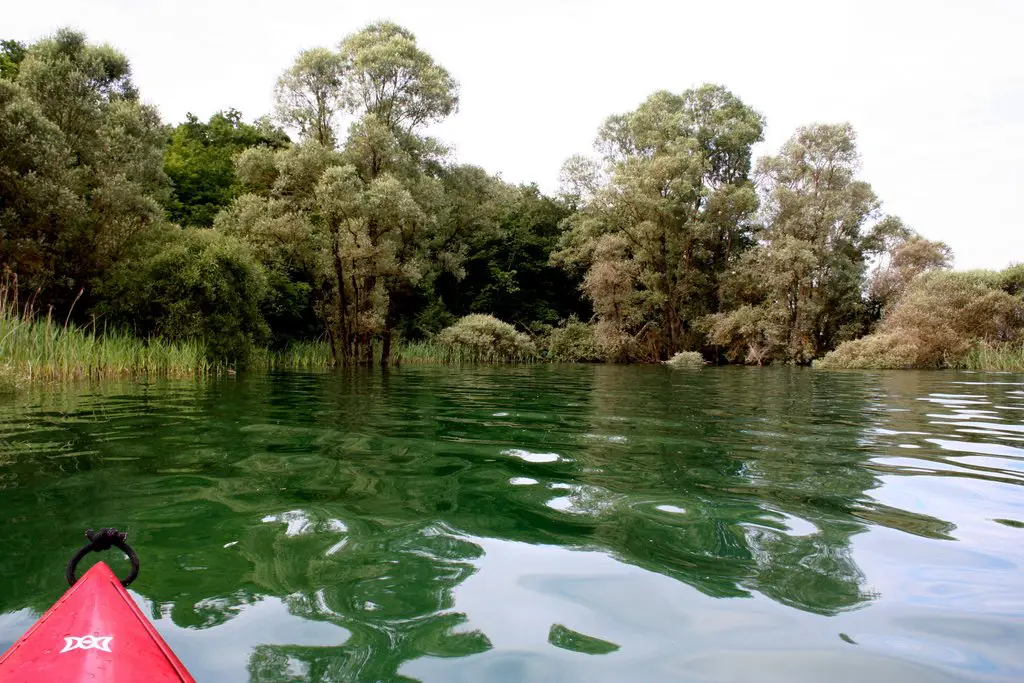 En kayak sur le lac de la forêt d'Orient