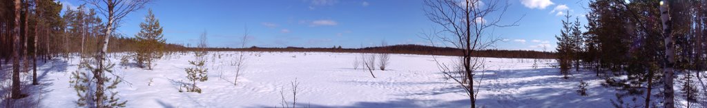 Winter image of the bog near my birth home. Image is taken over the frozen deep pool visible on map.