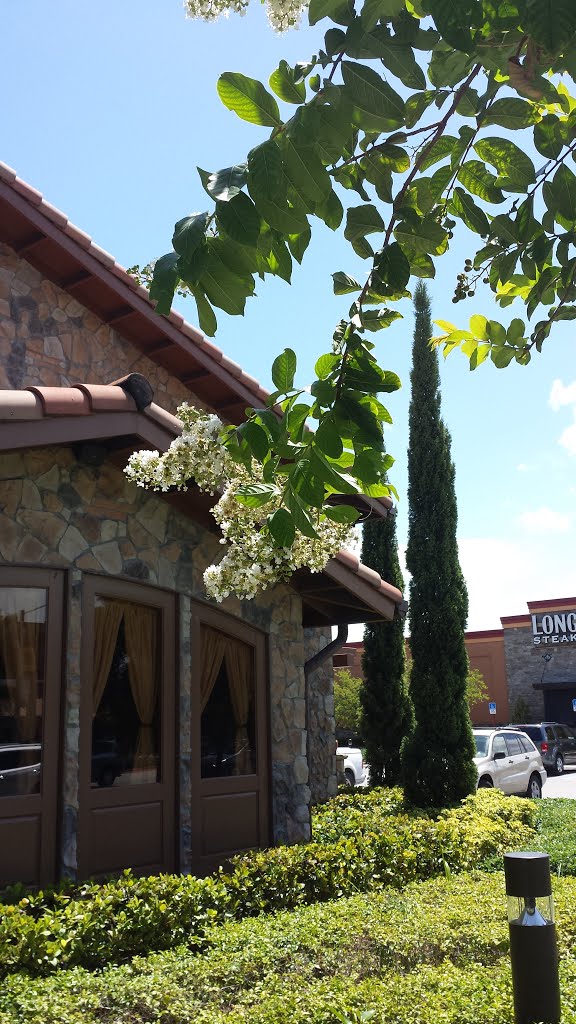Olive Garden Italian Restaurant In Hialeah Mapio Net