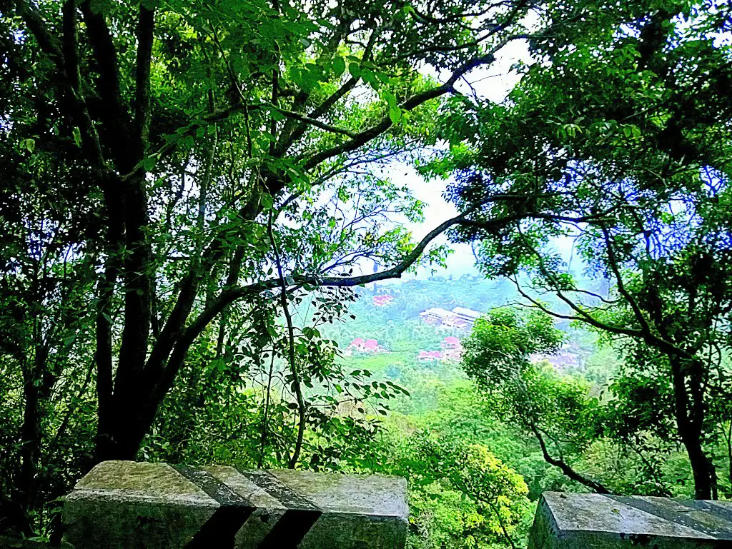 Nilgiris, Tamil Nadu, India