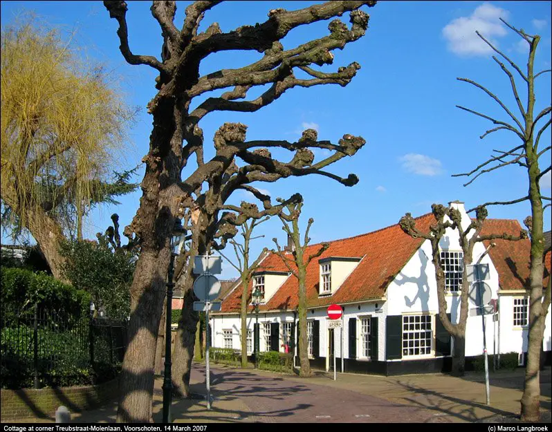 Cottage at corner Treubstraat-Molenlaan, Voorschoten, the Netherlands