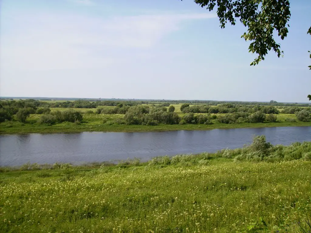 View on the bayou of the river "Nothern Dvina" near the village "Timoshino"