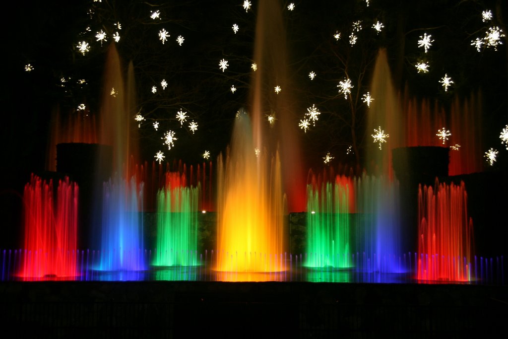 Christmas At Longwood Gardens Lighted Water Fountains Show