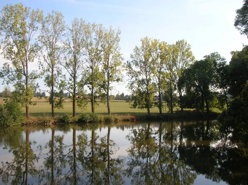Lac près du château de Cruzols