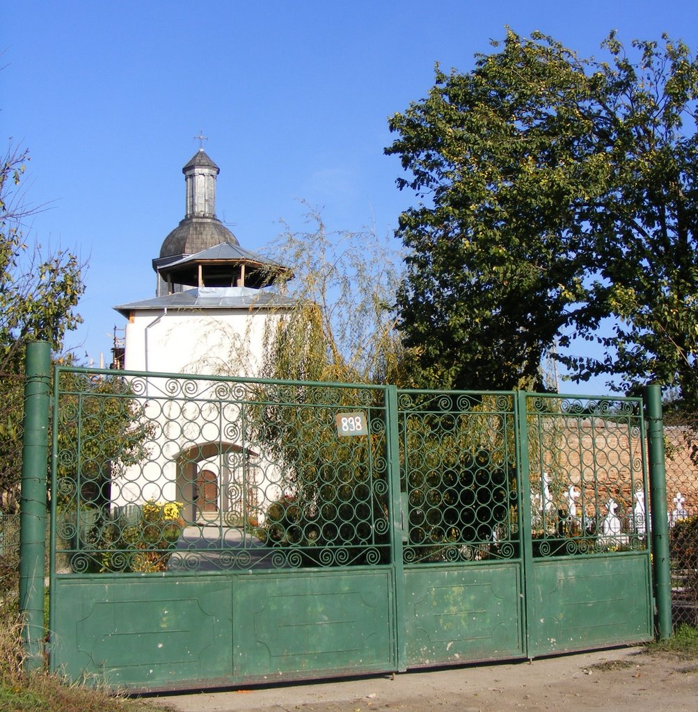 Biserica Negoiești - intrarea