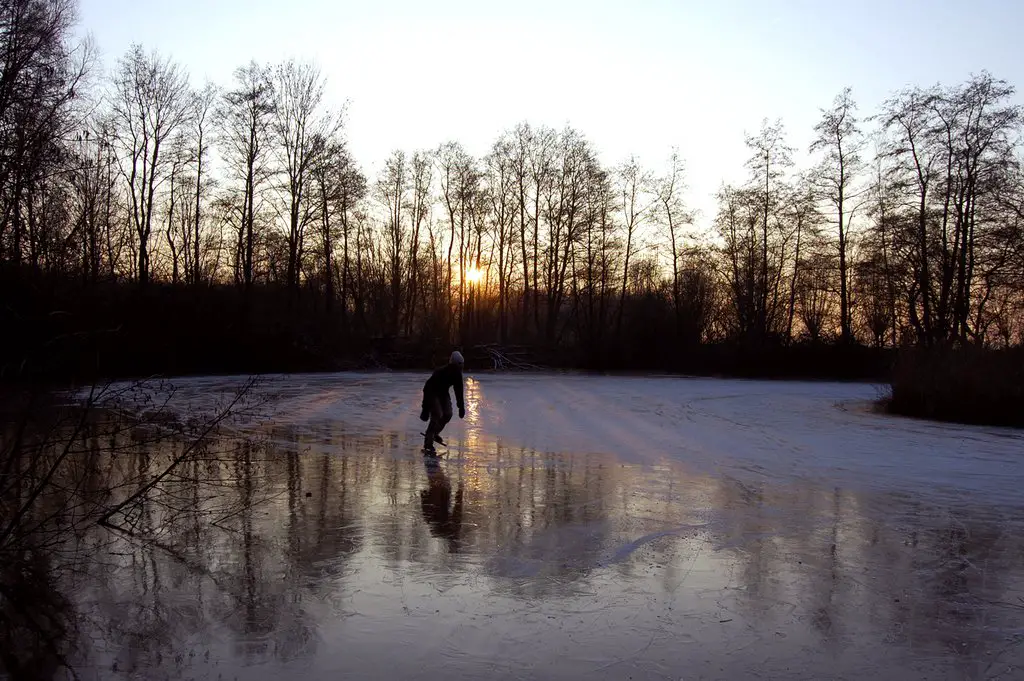 Skating on the pond near Oudenbosch, Netherlands