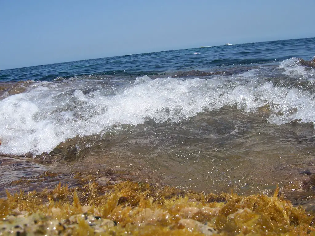 Waves in Sliema
