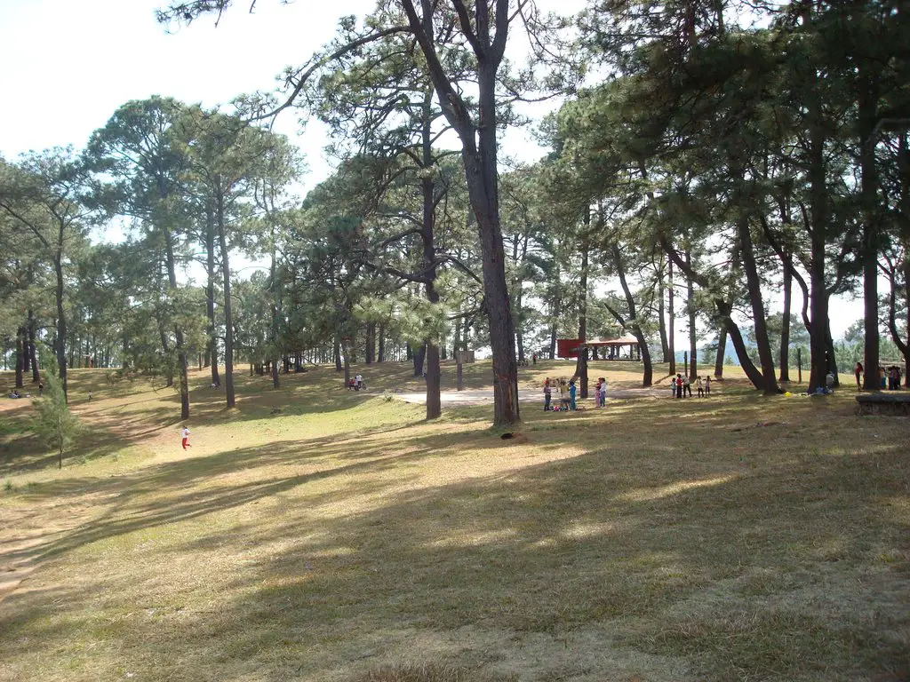 Parque Cerro Hueco.