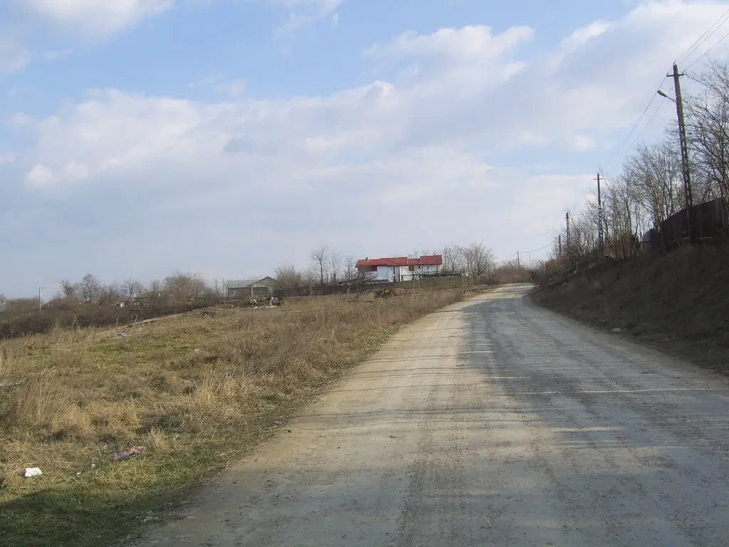 Drumul satesc din Tamadaul Mic