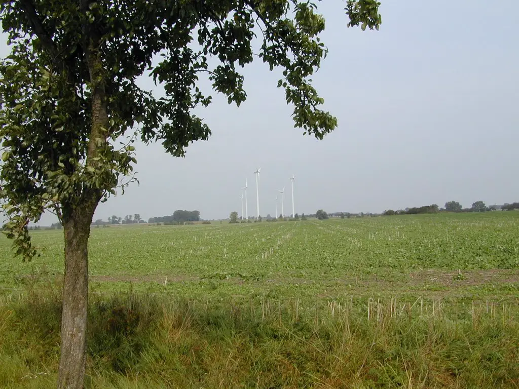 Hindenburg wind farm