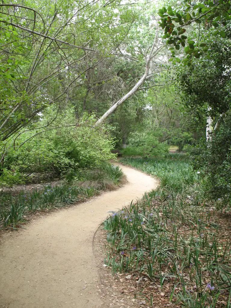 Rancho Santa Ana Botanic Garden Mapio Net