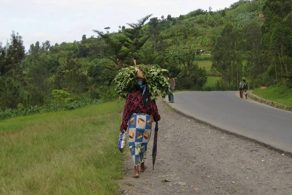 Rwandan woman carries vegetables back home