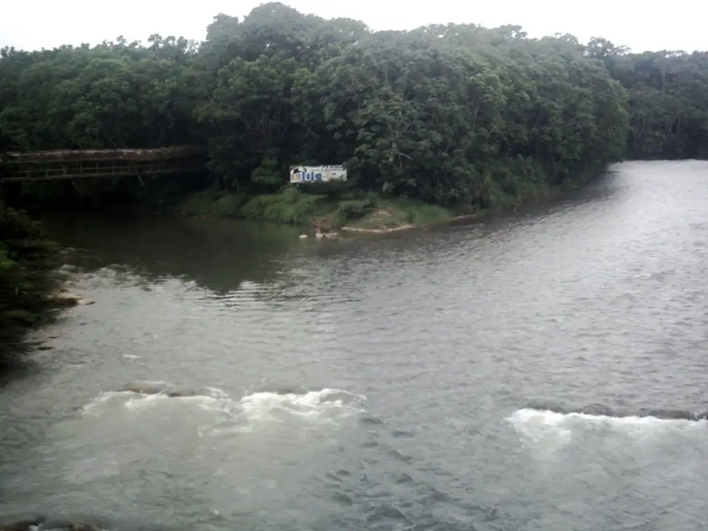 Tena River/ Pano River