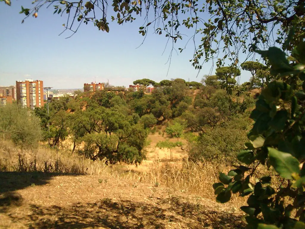 Parque Moret Huelva 