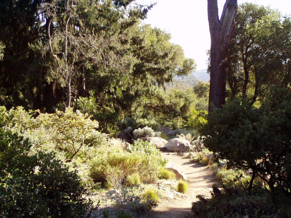 Santa Barbara Botanical Gardens Mapio Net